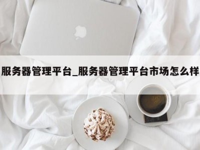 珠海服务器管理平台_服务器管理平台市场怎么样 