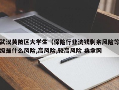 珠海武汉黄陂区大学生（保险行业洗钱剩余风险等级是什么风险,高风险,较高风险 桑拿网