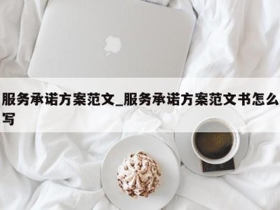 珠海服务承诺方案范文_服务承诺方案范文书怎么写 